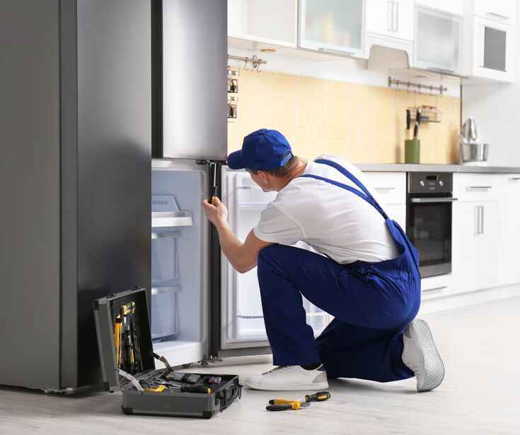 Double Door Fridge Repair